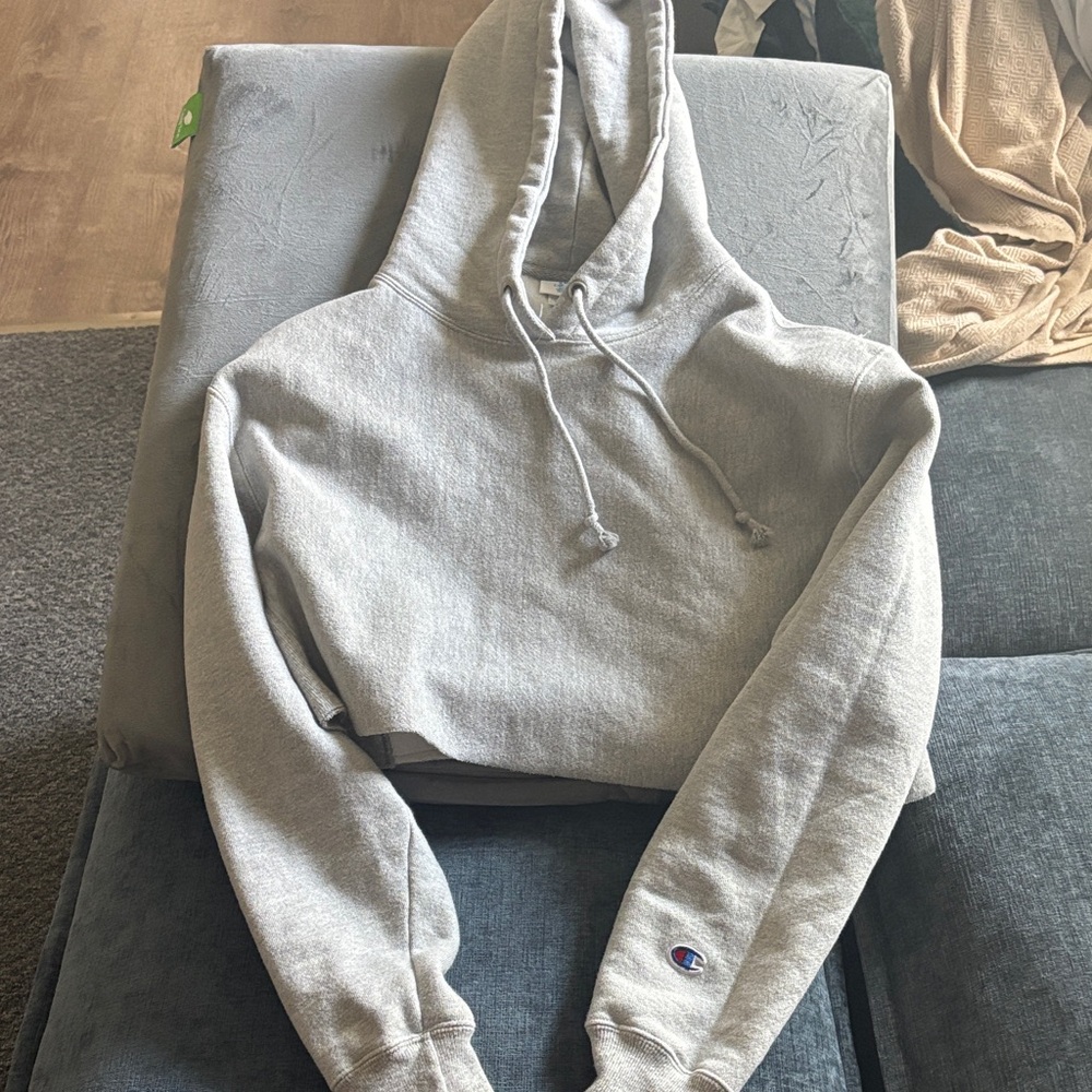 Champion Women's Light Gray Hoodie